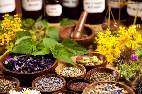 Herbal and Medicinal Plants Export